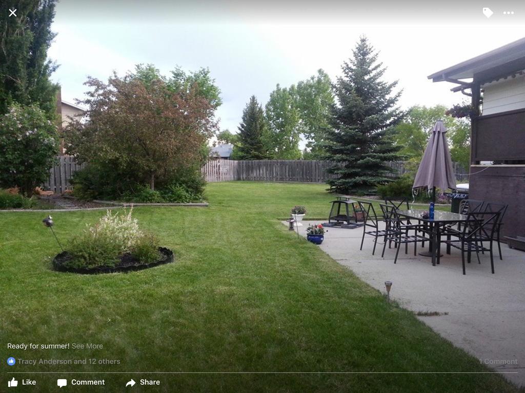 Newly Renovated Basement Suite! Lethbridge Exterior foto